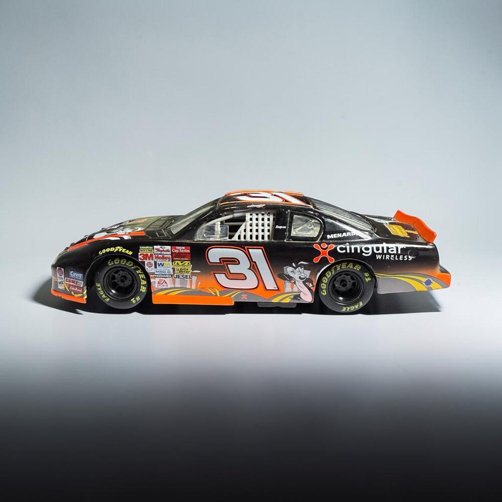 Robby Gordon #31 Cingular Looney Tunes Pepe Le Pew 2002 Monte Carlo 1:24 Diecast